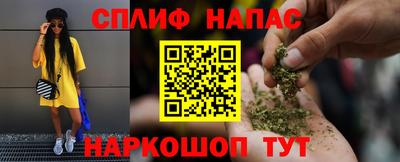 индика Сланцы