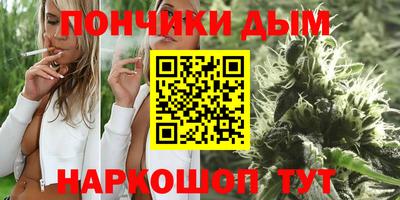 индика Сланцы