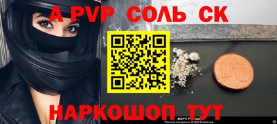 индика Сланцы
