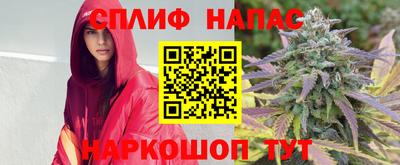 индика Сланцы