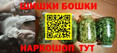 индика Сланцы