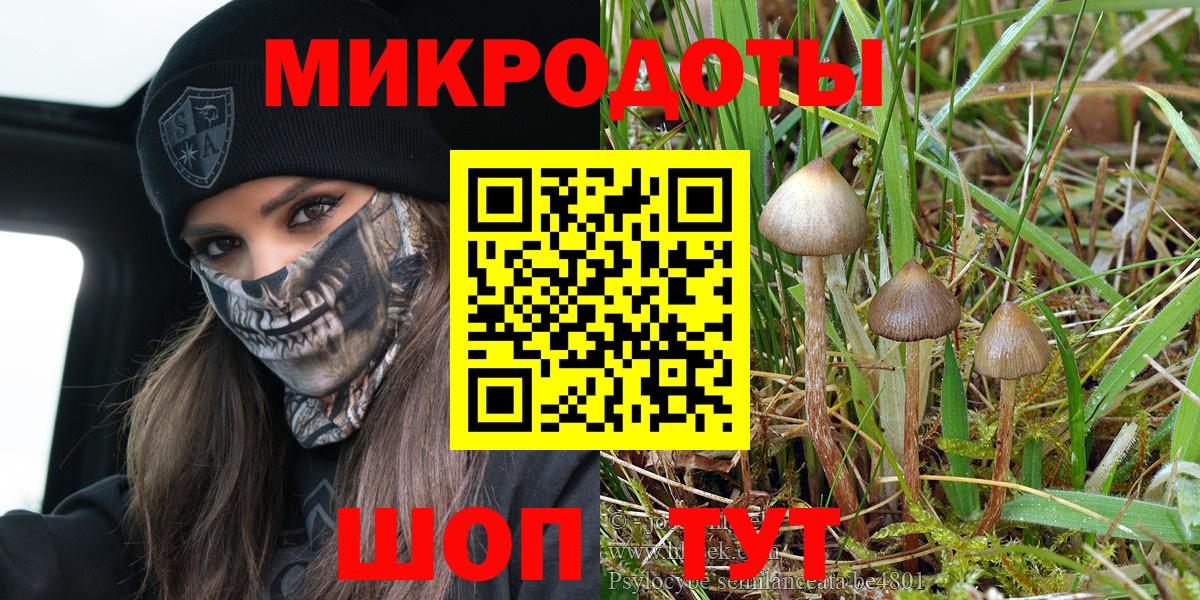 Псилоцибиновые грибы Magic Shrooms  Псилоцибиновые грибы Magic Shrooms  Санкт-Петербург  Вход с VPN 